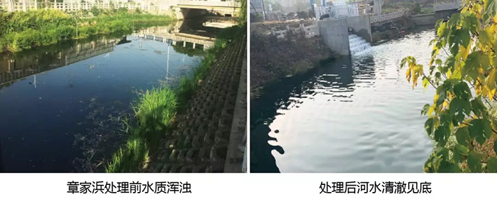 處理前后.webp.jpg