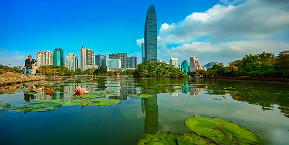 深圳荔枝湖.jpg
